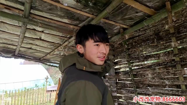 【2021-01-10 13点场】逐梦兄弟：美好的一天 5025477