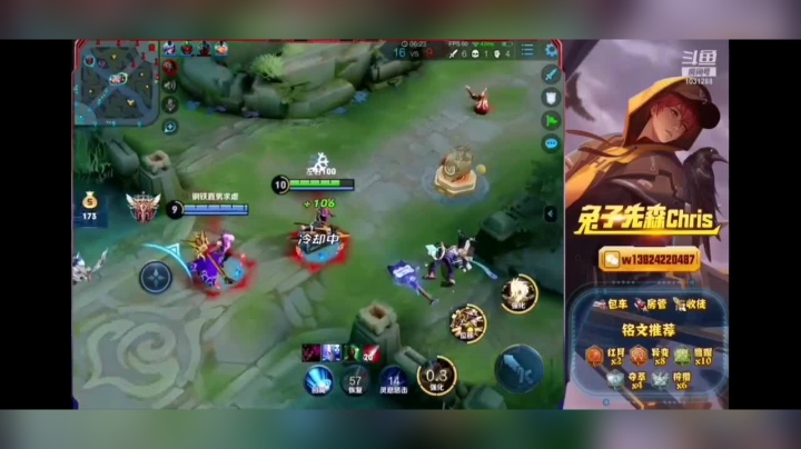 兔子22