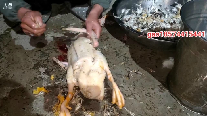 【2021-01-10 19点场】魅力生活i：到家的感觉真好