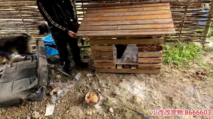 【2021-01-10 15点场】逐梦兄弟：美好的一天 5025477