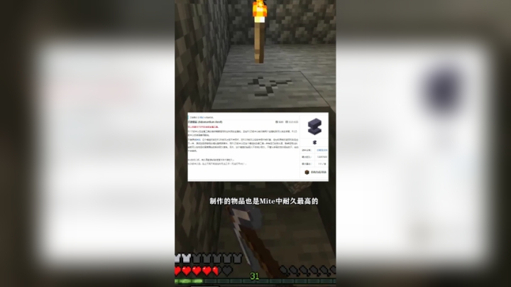 [赫某人]振金MITE第29集