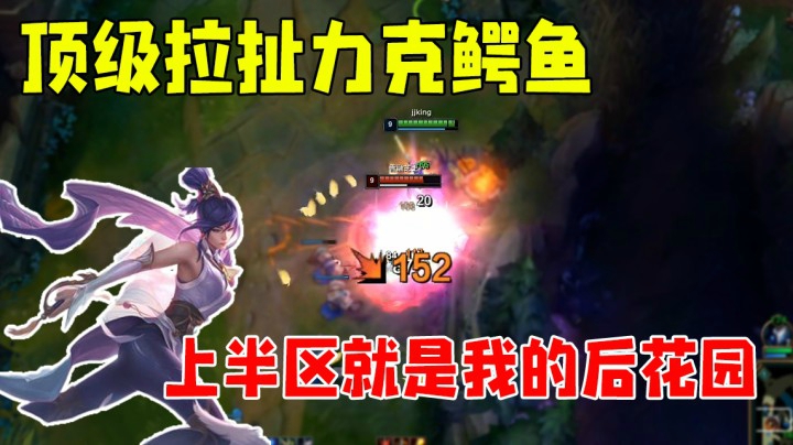 细节拉扯力克鳄鱼 上半区就是我的后花园