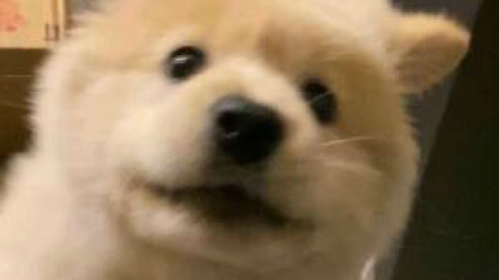 只狼一周目初见Day2