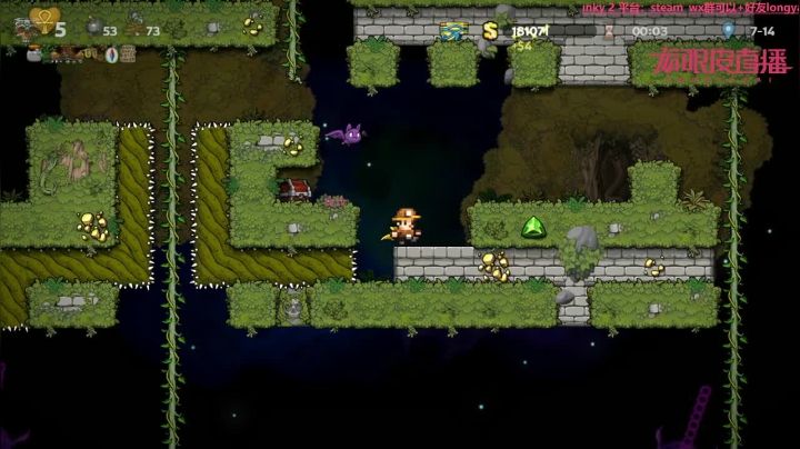 【2021-01-10 17点场】龙眼皮Lyd：【Gameboy】Roguelike高手