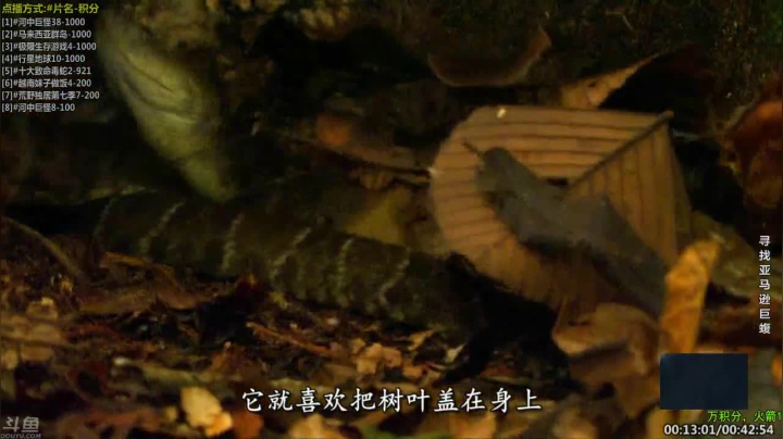 【科普】酷炫你你你的精彩时刻 20210111 10点场