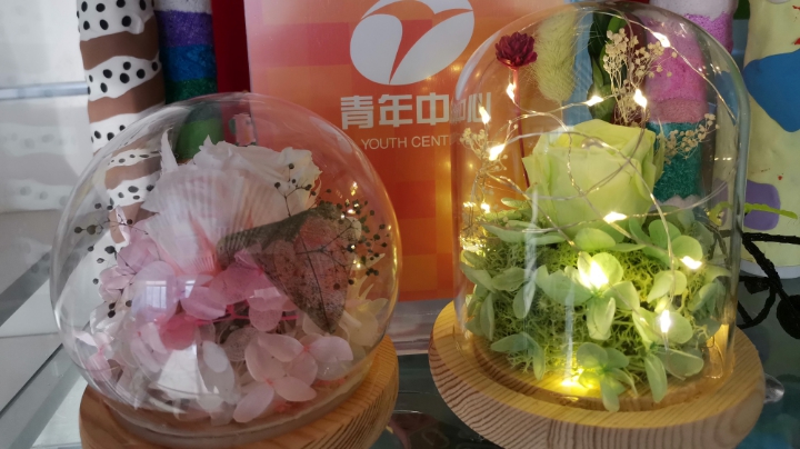 科技手工艺制作 永生花小夜灯