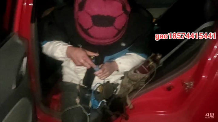 【2021-01-11 19点场】魅力生活i：波哥与红鲤鱼