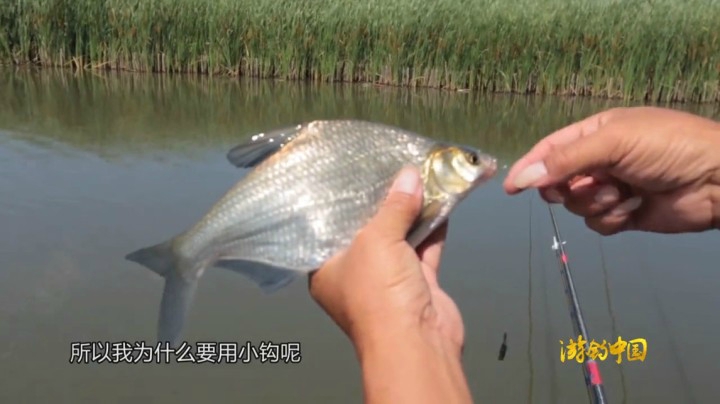 《游钓中国2》第24集 查干湖走漂飞鳊
