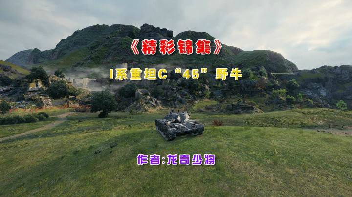 《精彩锦集》I系重坦C“45”野牛把妹+伤害手