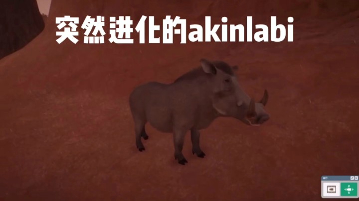 【康老王】动物园之星 犹猪的突然进化