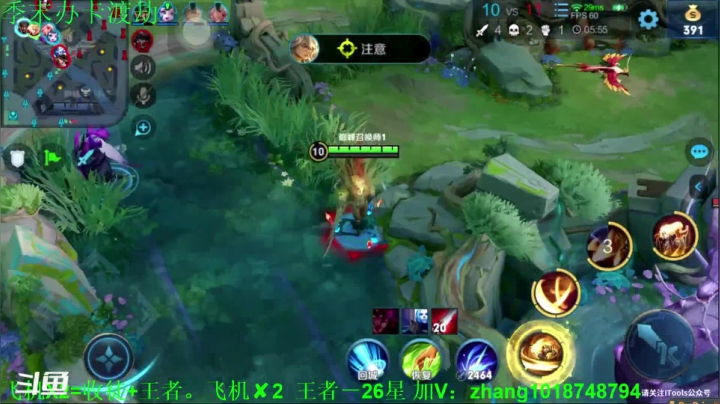 【2021-01-11 19点场】烟花Q烟花：限时:一飞机上王者 国服李信在线带飞