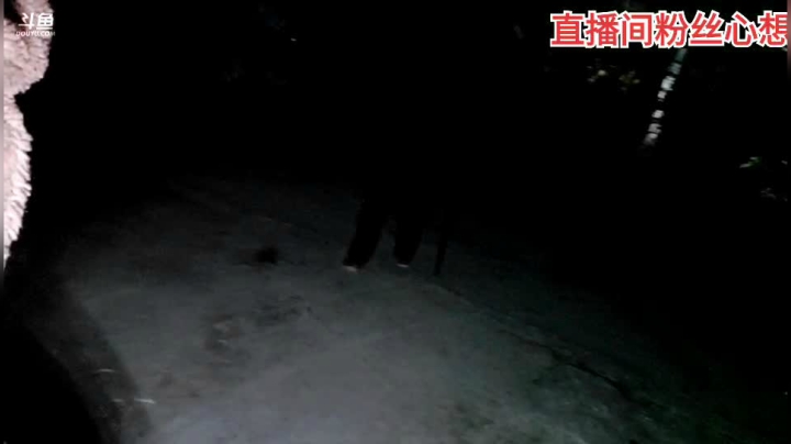 我在斗鱼看许文强户外直播户外