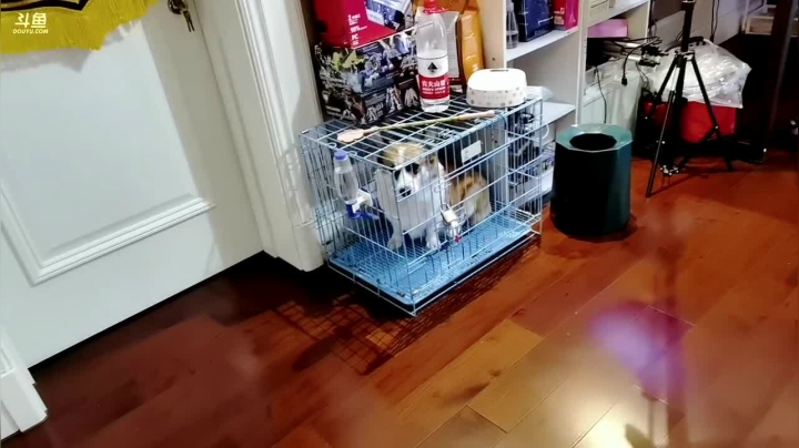 【英雄联盟】不2不叫周淑怡的精彩时刻 20210113 17点场