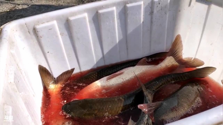 【2021-01-13 13点场】魅力生活i：干个1w2的塘北京买房