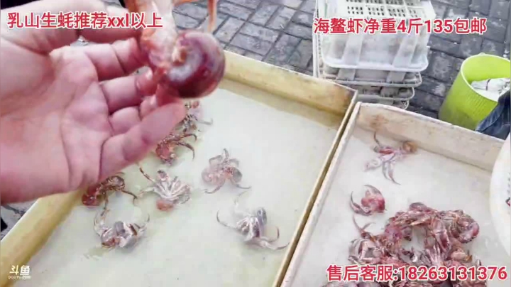 【户外】威海高哥587997的精彩时刻 20210113 15点场