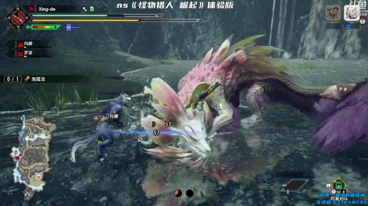 【2021-01-13 19点场】神隐的直播间：神隐：怪物猎人 崛起