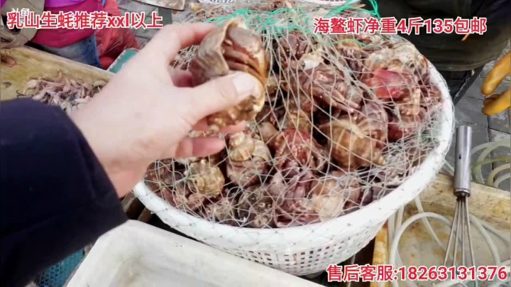 【户外】威海高哥587997的精彩时刻 20210113 14点场