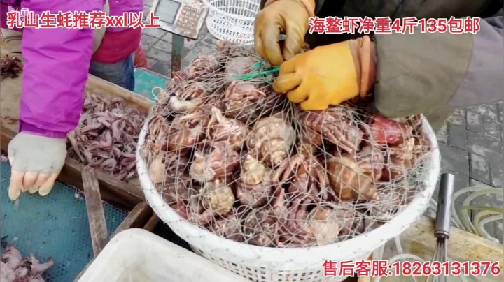 【户外】威海高哥587997的精彩时刻 20210113 14点场