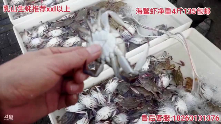 【户外】威海高哥587997的精彩时刻 20210113 14点场