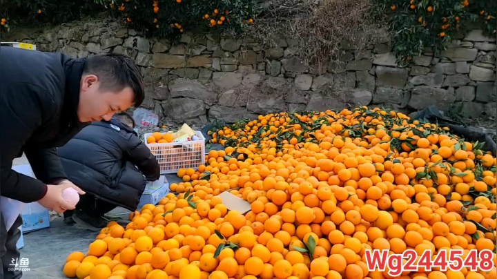 【2021-01-14 14点场】叶子户外：《纪实直播》反走317；萨普神山