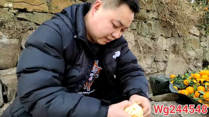 【2021-01-14 11点场】叶子户外：《纪实直播》反走317；萨普神山