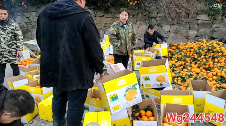 【2021-01-14 17点场】叶子户外：《纪实直播》反走317；萨普神山