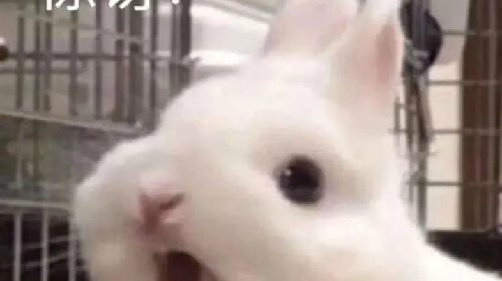 震惊！某知名手残主播居然过了双难义父！2