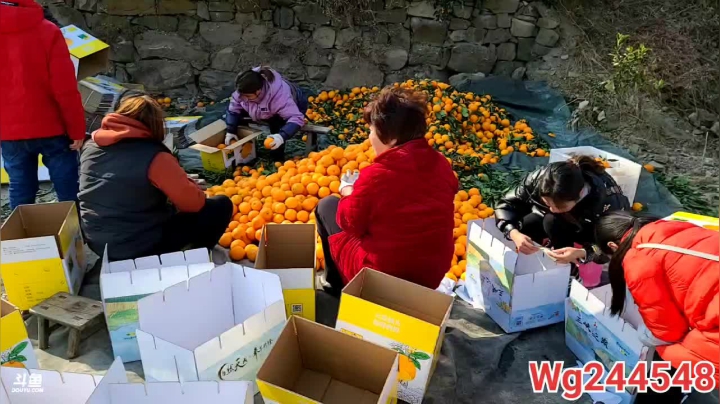 【2021-01-15 10点场】叶子户外：《纪实直播》反走317；萨普神山