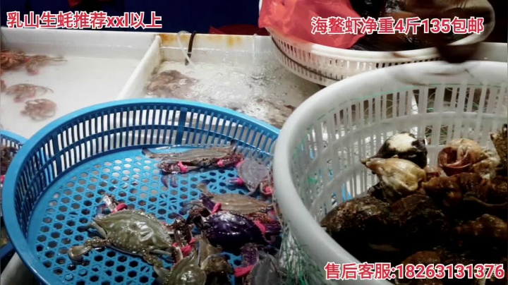 【户外】威海高哥587997的精彩时刻 20210115 15点场