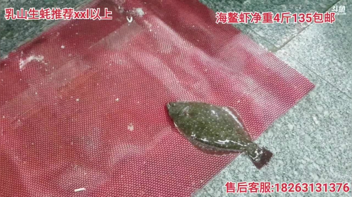 【户外】威海高哥587997的精彩时刻 20210115 15点场