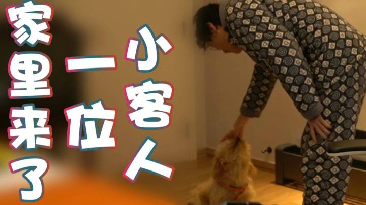 【超级小桀】家里来了一位小客人