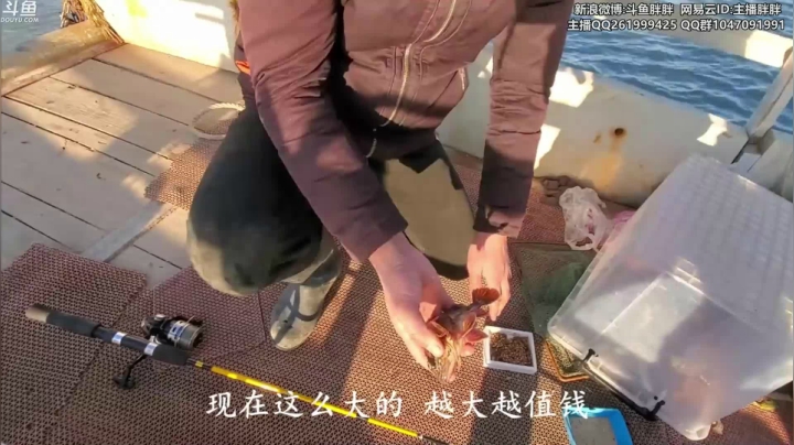 【2021-01-15 02点场】胖胖灬：胖胖OB：JackeyLove碰IG中上