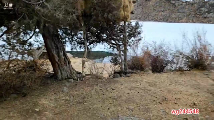 【2021-01-16 17点场】叶子户外：双倍亲密度加成；西藏三色湖