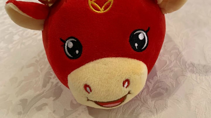 牛皮-