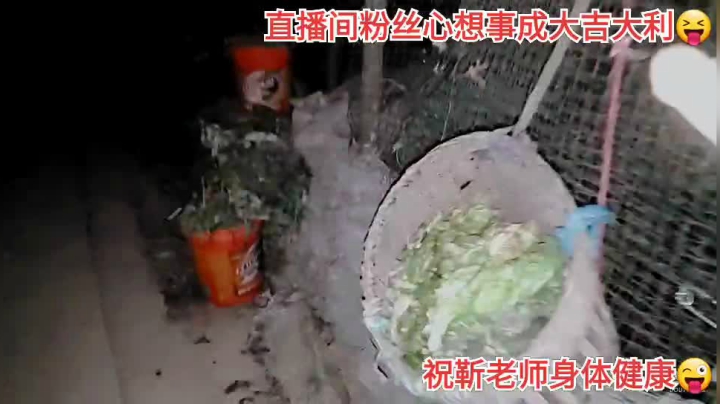 我在斗鱼看许文强户外直播户外