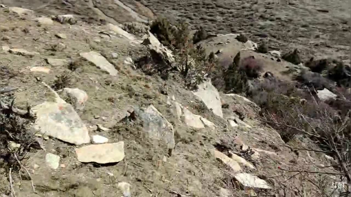 【户外】叶子户外的精彩时刻 20210117 15点场