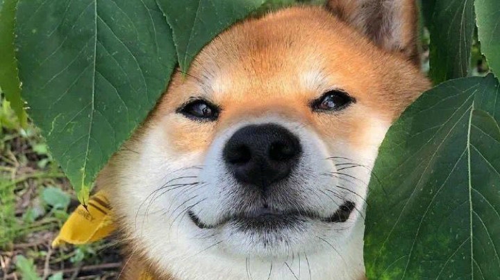 这……有……