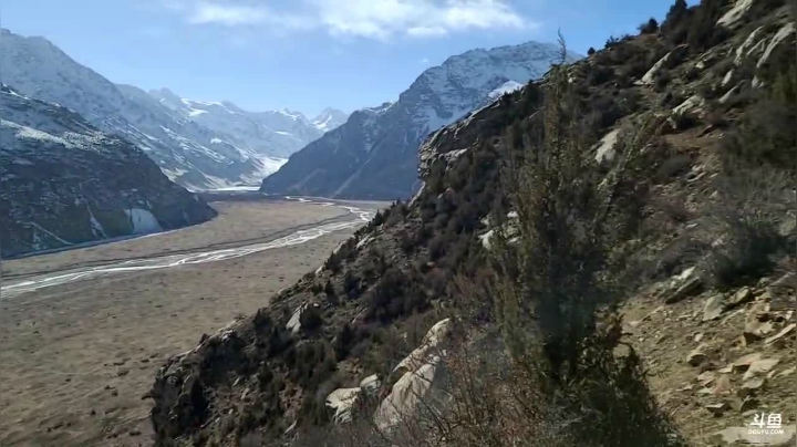 【户外】叶子户外的精彩时刻 20210117 15点场