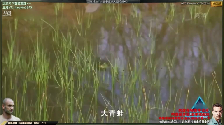 【科普】黑子影视haoyin1234的精彩时刻 20210118 23点场