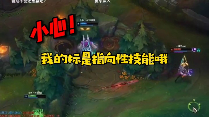 小心！我的标是指向性技能哦~