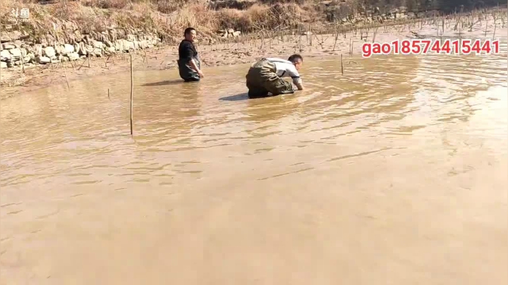 【2021-01-19 12点场】魅力生活i：带大家塘里抓甲鱼