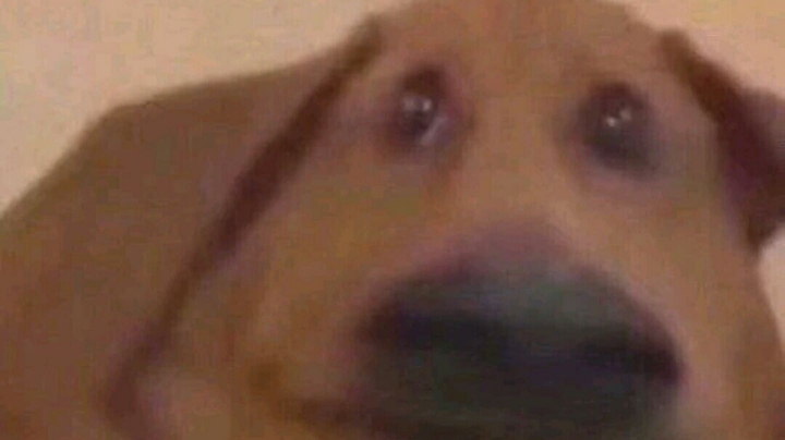 生前垂死挣扎的视频