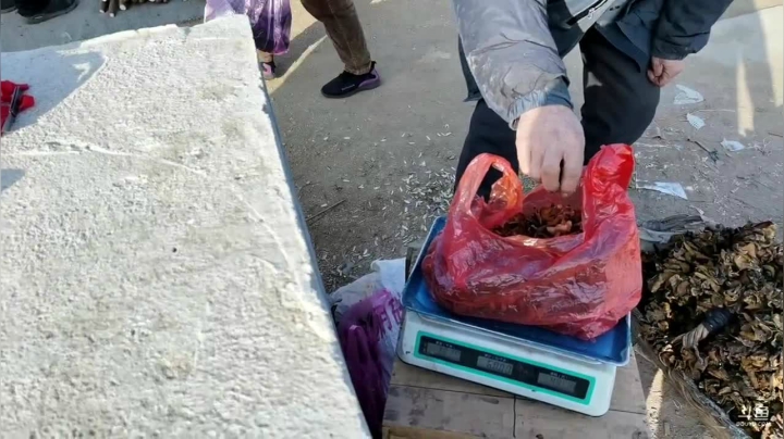 【2021-01-19 09点场】叶子户外：《纪实直播》藏北三色湖