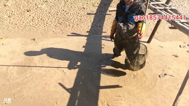 【2021-01-19 10点场】魅力生活i：带大家塘里抓甲鱼