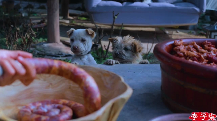 【美食】李子柒liziqi的精彩时刻 20210120 20点场