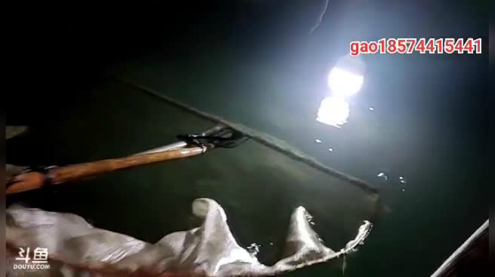 【2021-01-20 21点场】魅力生活i：大板鲫真的多