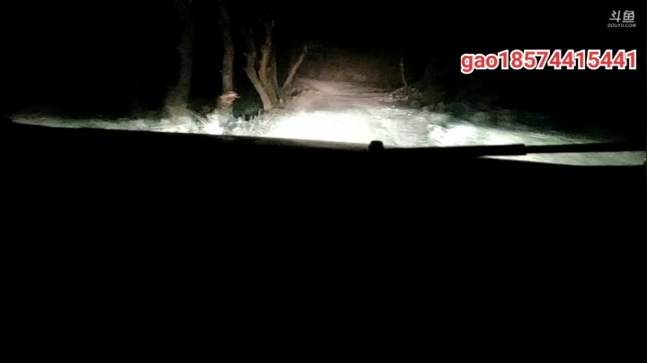 【2021-01-20 19点场】魅力生活i：大板鲫真的多