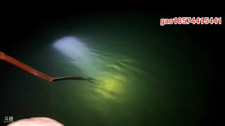 【2021-01-20 21点场】魅力生活i：大板鲫真的多