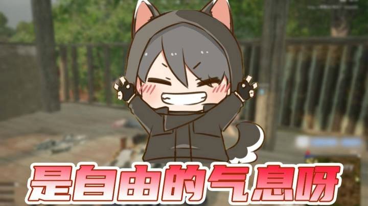 是自由的气息呀