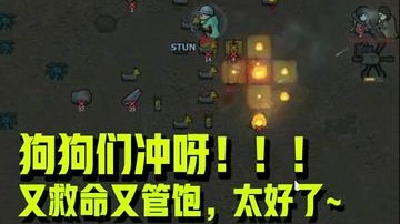 狗兄弟们，给我冲啊！！